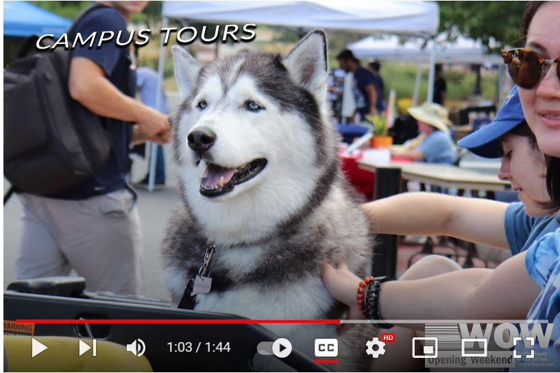 click here for a youtube video recap of husky wow 2022